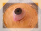 Cuvette with acrylic eye