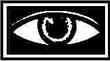 Prosthetic eye